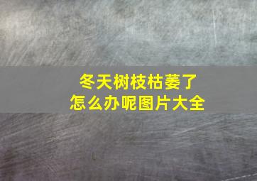 冬天树枝枯萎了怎么办呢图片大全