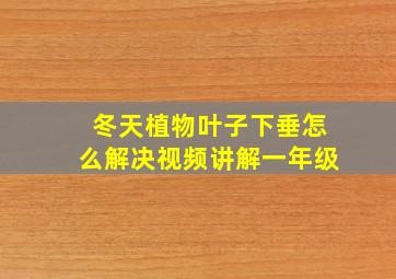 冬天植物叶子下垂怎么解决视频讲解一年级