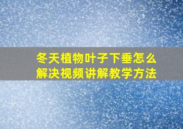 冬天植物叶子下垂怎么解决视频讲解教学方法