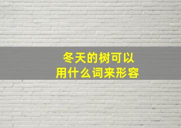 冬天的树可以用什么词来形容