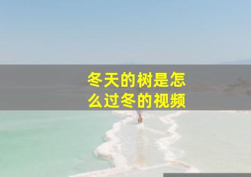 冬天的树是怎么过冬的视频