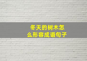 冬天的树木怎么形容成语句子