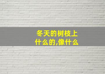 冬天的树枝上什么的,像什么