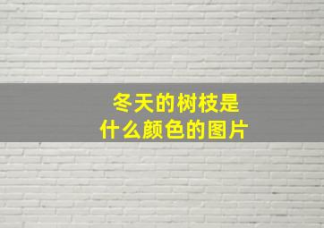 冬天的树枝是什么颜色的图片