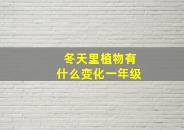 冬天里植物有什么变化一年级