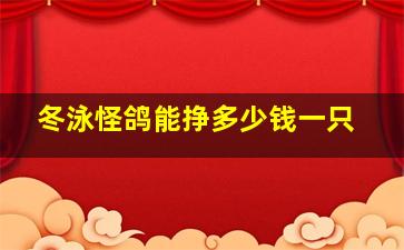 冬泳怪鸽能挣多少钱一只