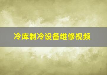 冷库制冷设备维修视频