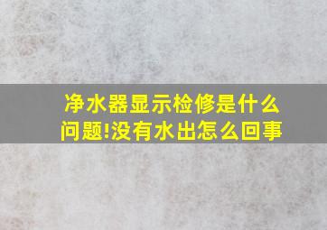 净水器显示检修是什么问题!没有水出怎么回事