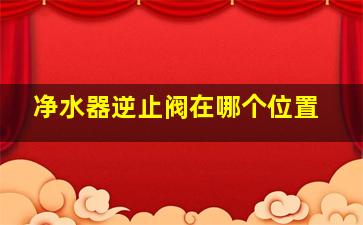 净水器逆止阀在哪个位置