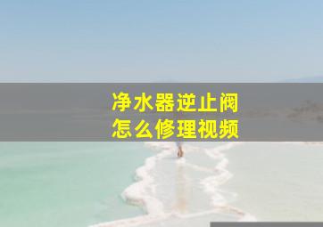 净水器逆止阀怎么修理视频