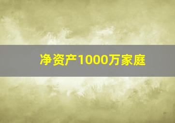 净资产1000万家庭