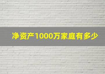 净资产1000万家庭有多少