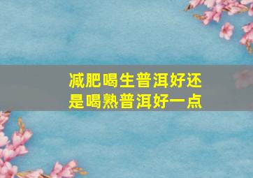 减肥喝生普洱好还是喝熟普洱好一点