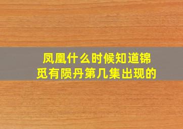 凤凰什么时候知道锦觅有陨丹第几集出现的