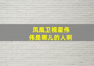 凤凰卫视霍伟伟是哪儿的人啊