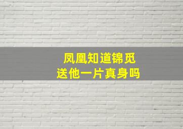 凤凰知道锦觅送他一片真身吗