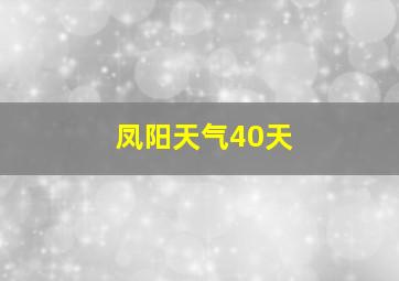 凤阳天气40天