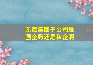 凯德集团子公司是国企吗还是私企啊