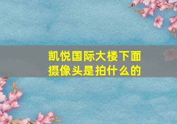 凯悦国际大楼下面摄像头是拍什么的