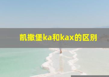 凯撒堡ka和kax的区别