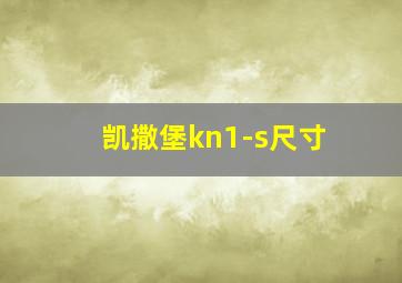 凯撒堡kn1-s尺寸