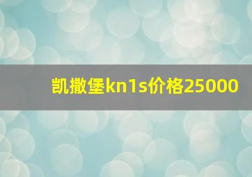 凯撒堡kn1s价格25000