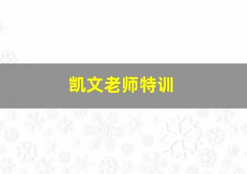 凯文老师特训