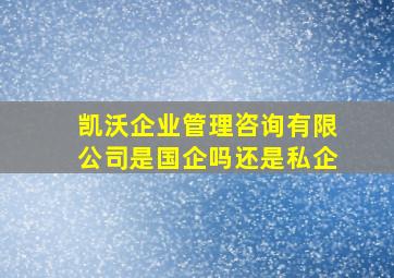 凯沃企业管理咨询有限公司是国企吗还是私企