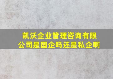 凯沃企业管理咨询有限公司是国企吗还是私企啊