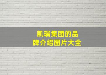 凯瑞集团的品牌介绍图片大全