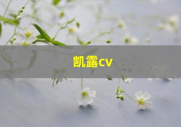 凯露cv