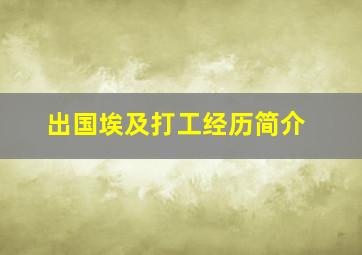 出国埃及打工经历简介