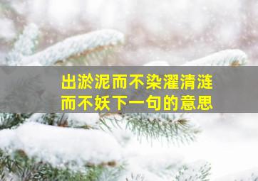 出淤泥而不染濯清涟而不妖下一句的意思