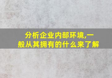 分析企业内部环境,一般从其拥有的什么来了解