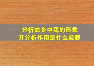 分析故乡中我的形象并分析作用是什么意思