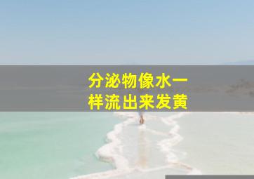 分泌物像水一样流出来发黄