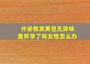 分泌物发黄但无异味是怀孕了吗女性怎么办