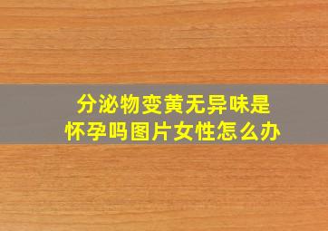 分泌物变黄无异味是怀孕吗图片女性怎么办