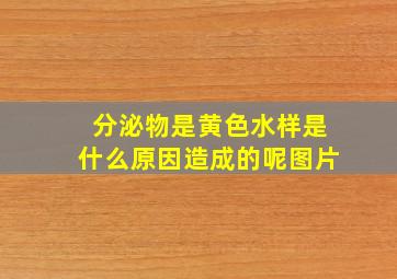 分泌物是黄色水样是什么原因造成的呢图片