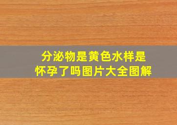 分泌物是黄色水样是怀孕了吗图片大全图解