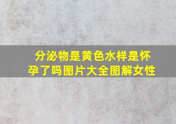 分泌物是黄色水样是怀孕了吗图片大全图解女性