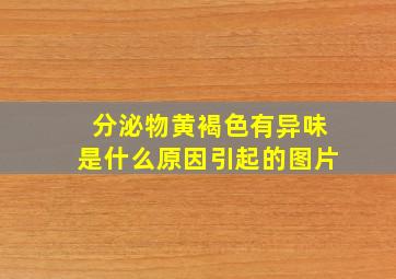 分泌物黄褐色有异味是什么原因引起的图片