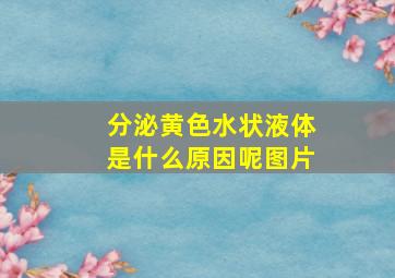 分泌黄色水状液体是什么原因呢图片