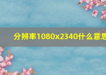 分辨率1080x2340什么意思