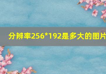 分辨率256*192是多大的图片