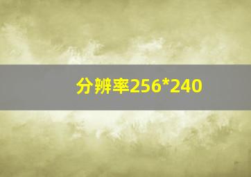 分辨率256*240