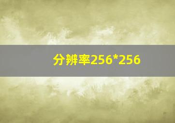 分辨率256*256