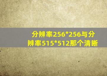 分辨率256*256与分辨率515*512那个清晰