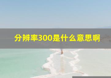 分辨率300是什么意思啊