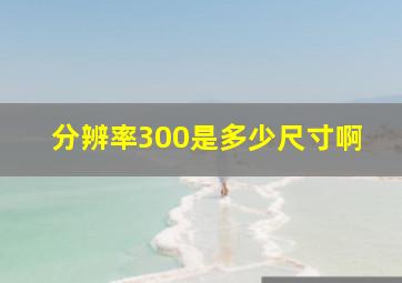 分辨率300是多少尺寸啊